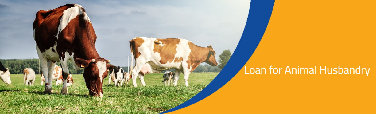 Loan for Animal Husbandry | Agricultural Finance | Federal Bank | India Loan for Animal Husbandry | Agricultural Finance | Federal Bank | India