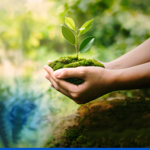 Federal Bank&#39;s Pledge to Environmental Responsibility and Green Financing